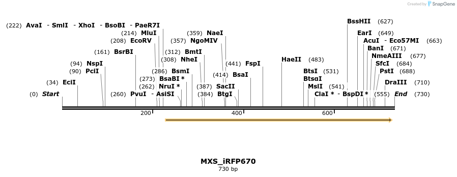 104664_map