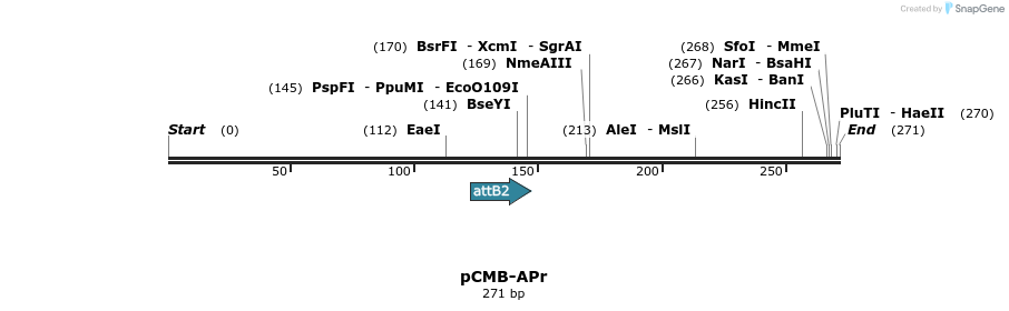 104665_map