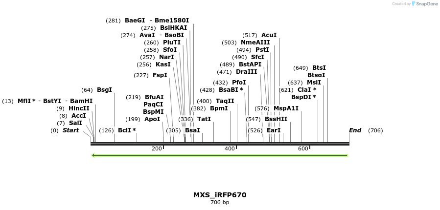 104666_map