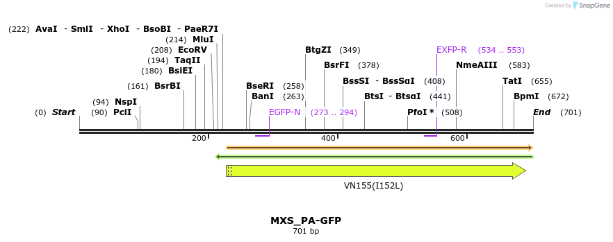 104667_map