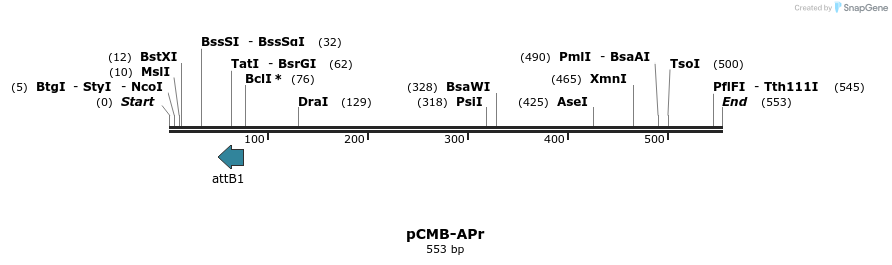 104670_map