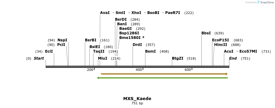 104671_map