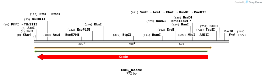 104673_map