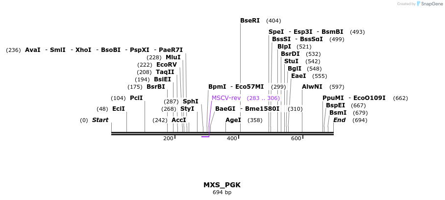 104674_map
