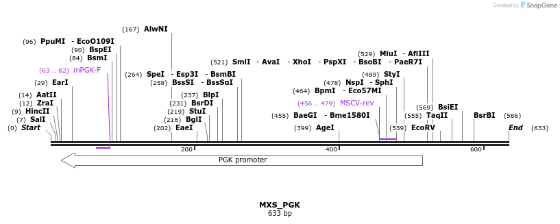 104676_map