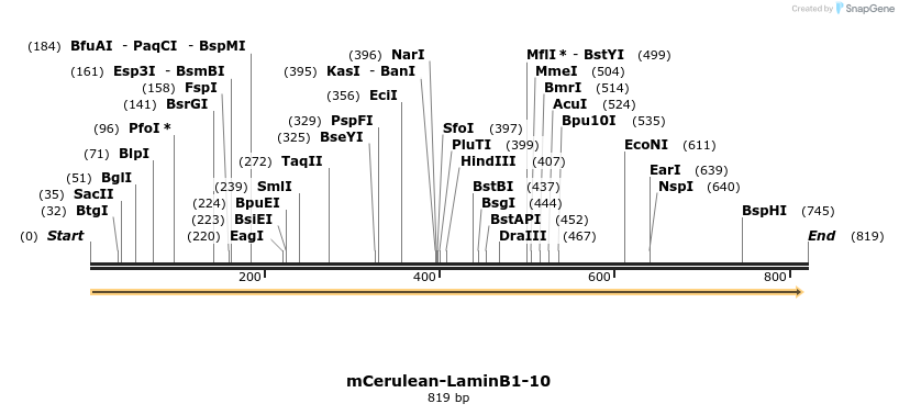 104677_map