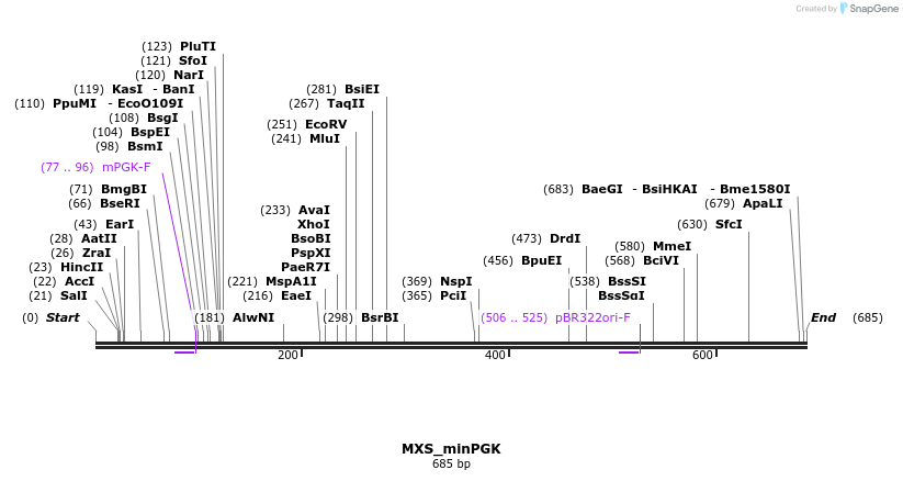 104679_map