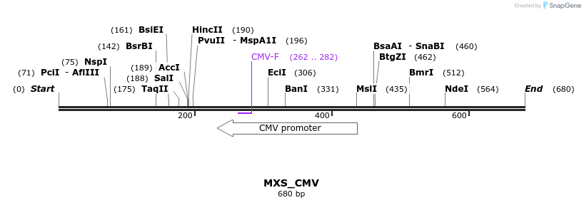 104685_map