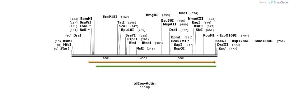 104686_map