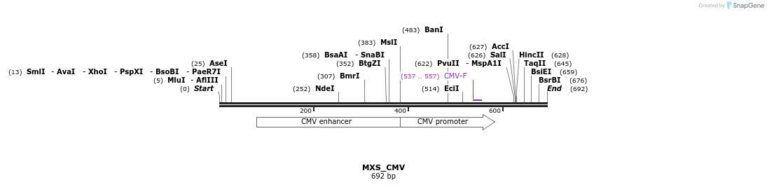 104687_map