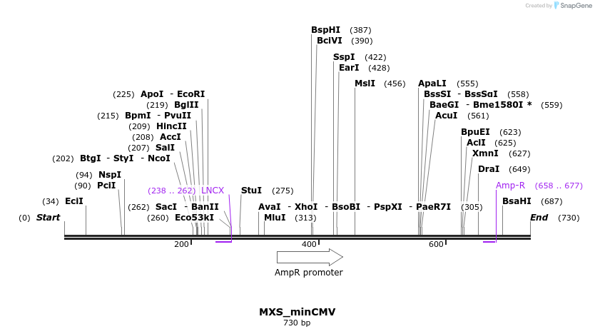 104689_map