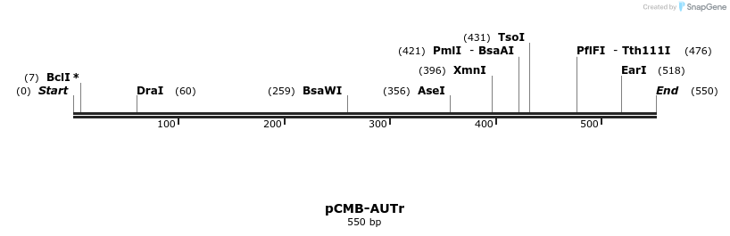 104690_map