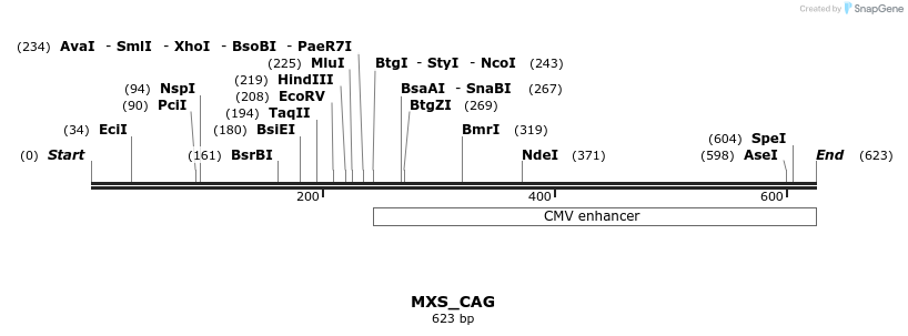 104695_map
