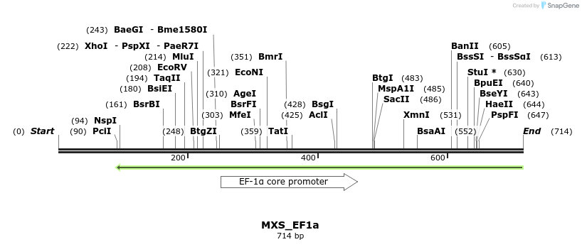 104697_map