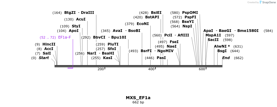 104699_map