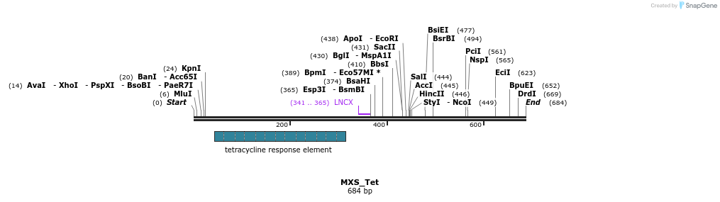 104701_map