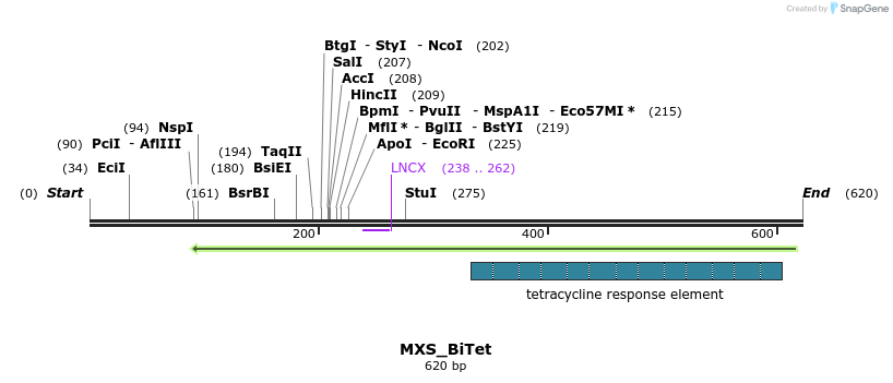 104702_map
