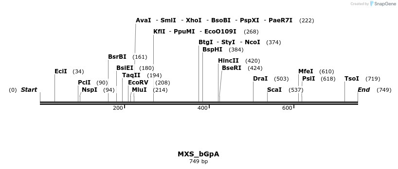 104703_map