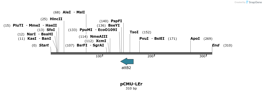 104706_map