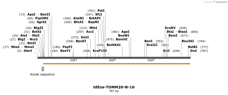 104708_map