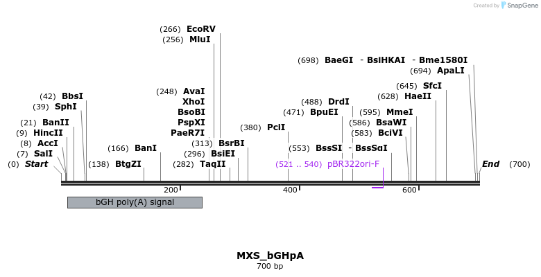 104709_map