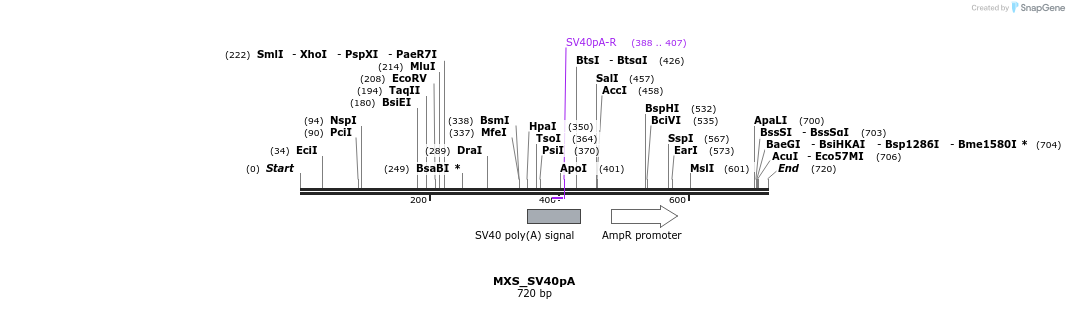 104711_map