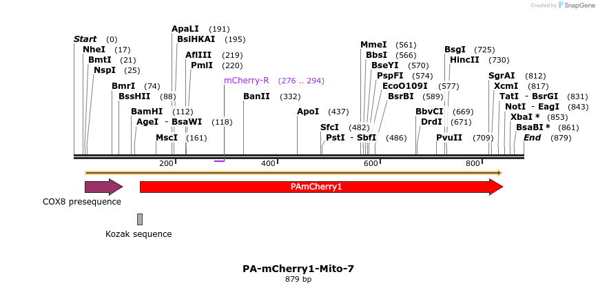 104712_map