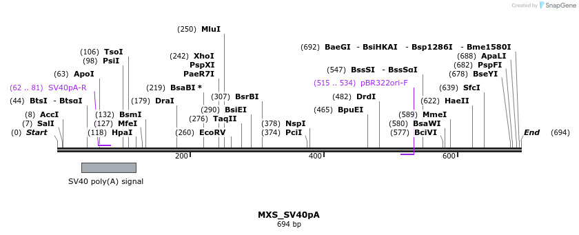 104713_map