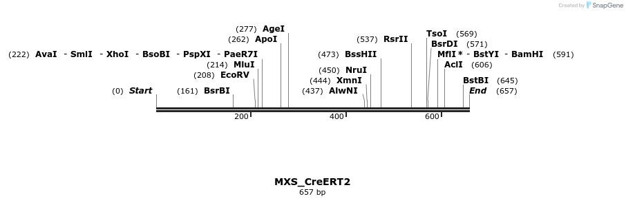 104715_map