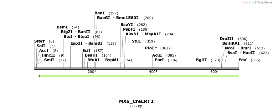 104716_map