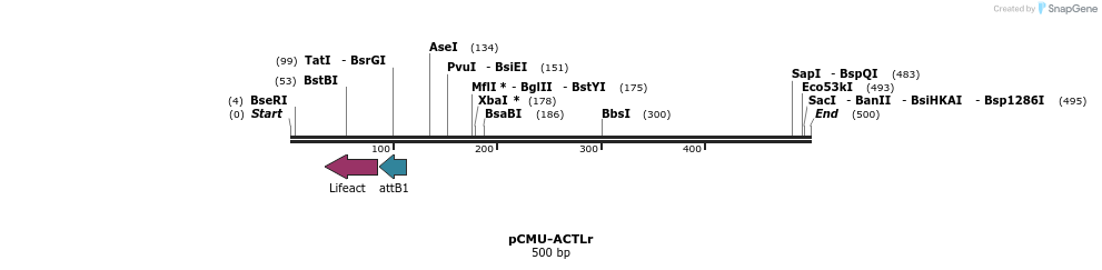 104718_map