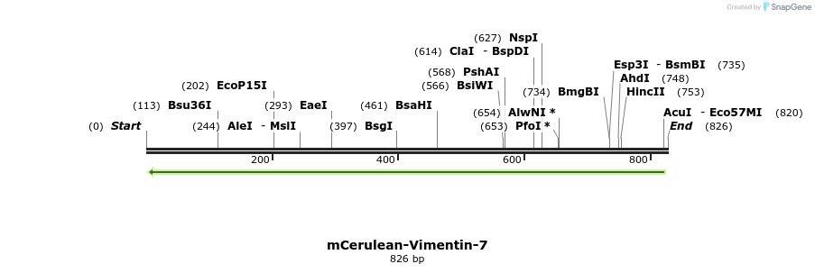 104719_map