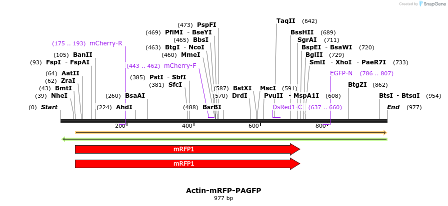 104723_map