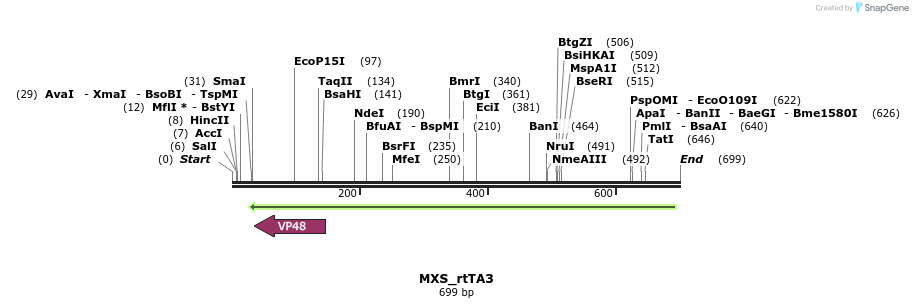 104724_map