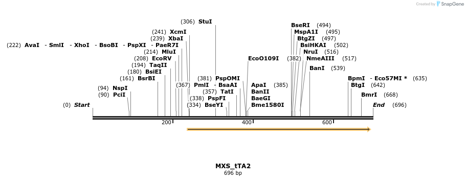 104725_map