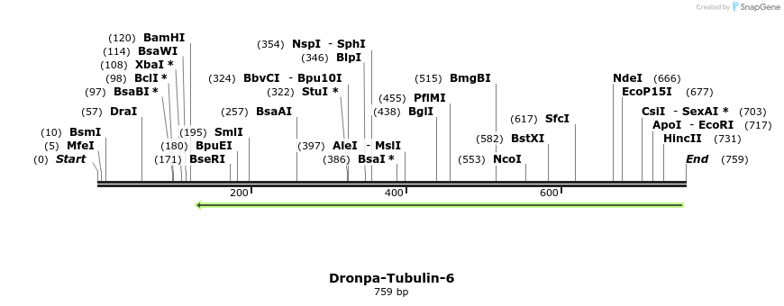 104726_map