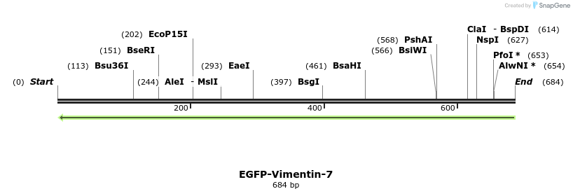 104729_map