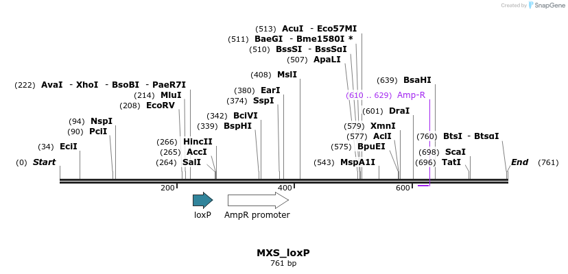 104730_map