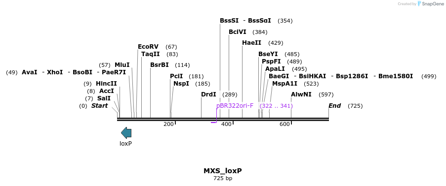 104732_map