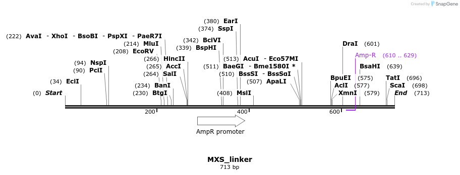 104733_map