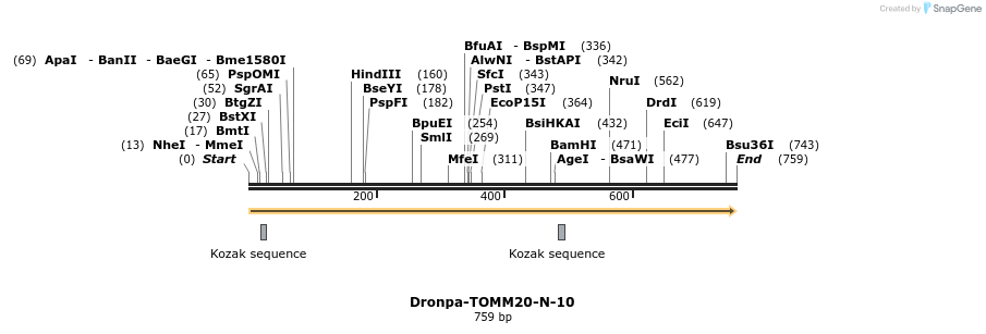 104735_map