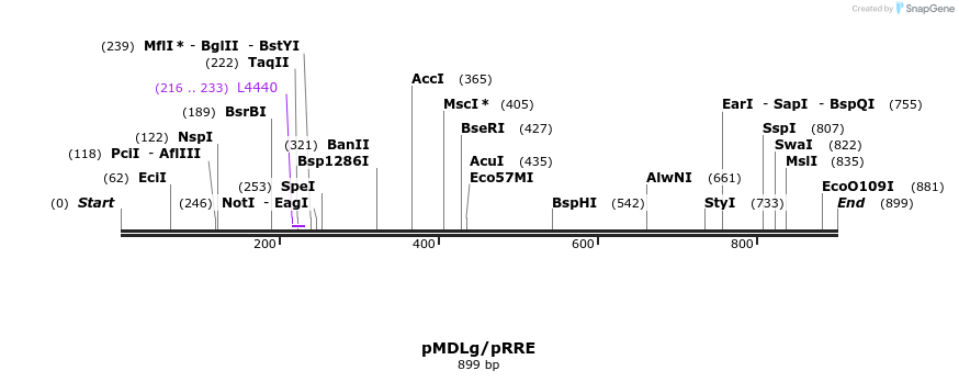 104737_map