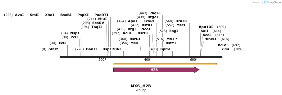 104738_map