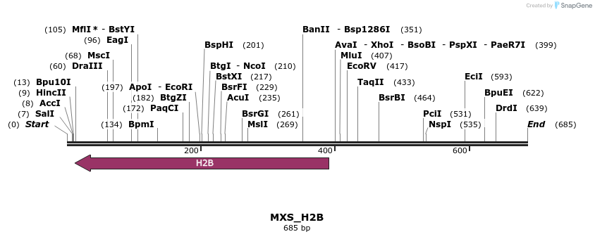 104740_map