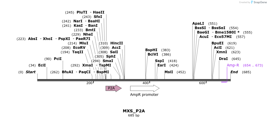 104741_map