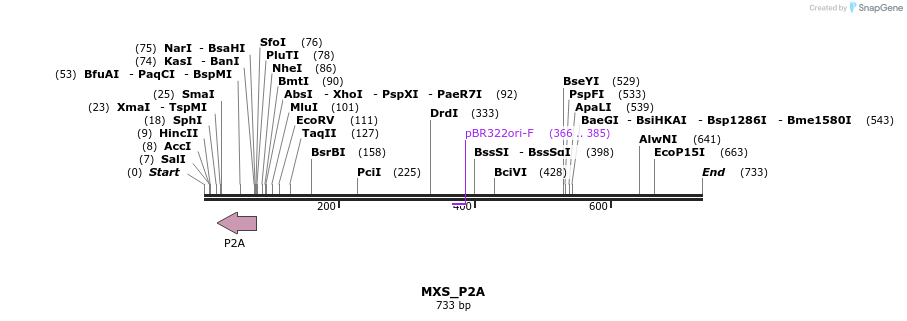 104742_map