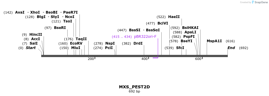 104745_map