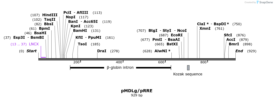 104746_map