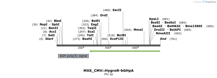 104750_map