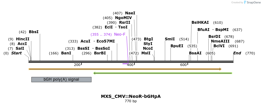 104757_map